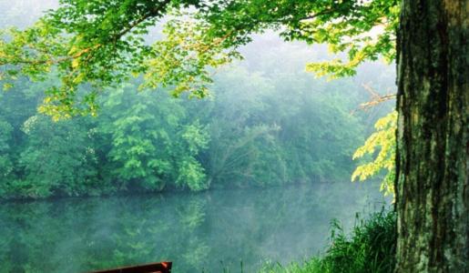 FINANCIAL PROJECTIONS FINANCIAL PROJECTIONS